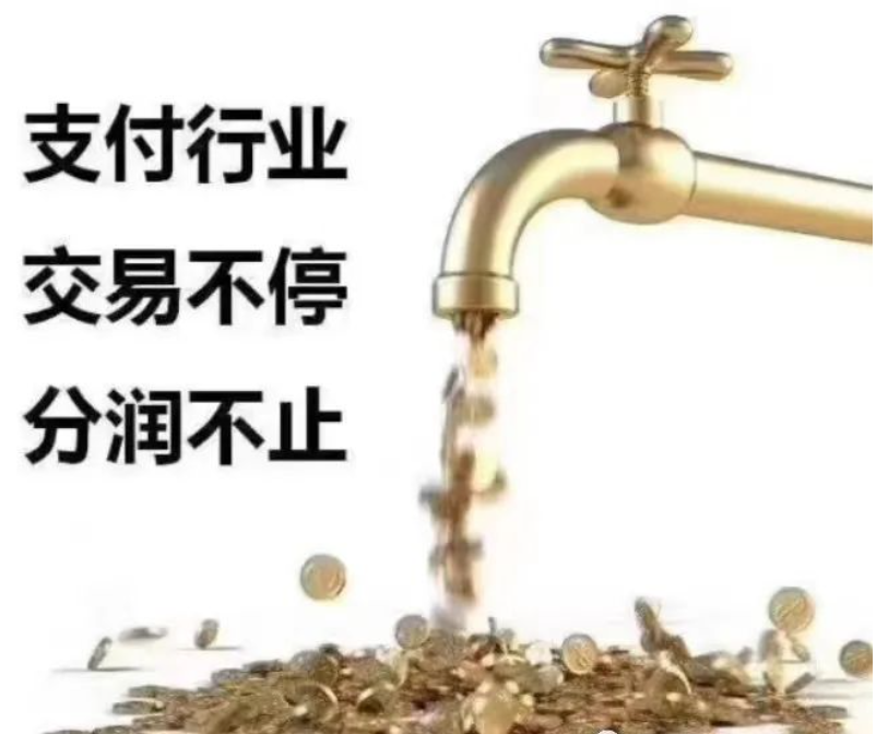 POS機行業(yè)的魅力
